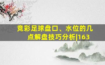 竞彩足球盘口、水位的几点解盘技巧分析|163